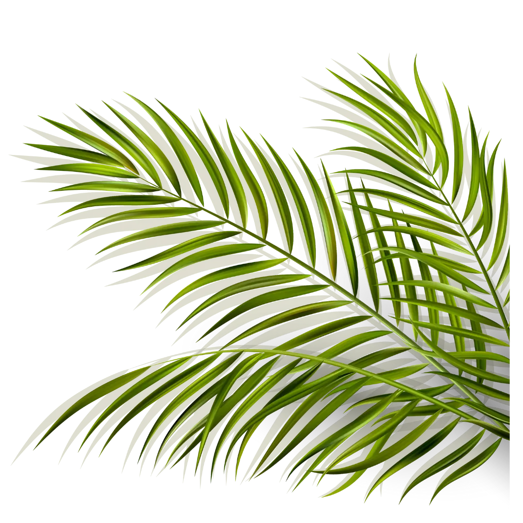 Upper Palm Tree Left